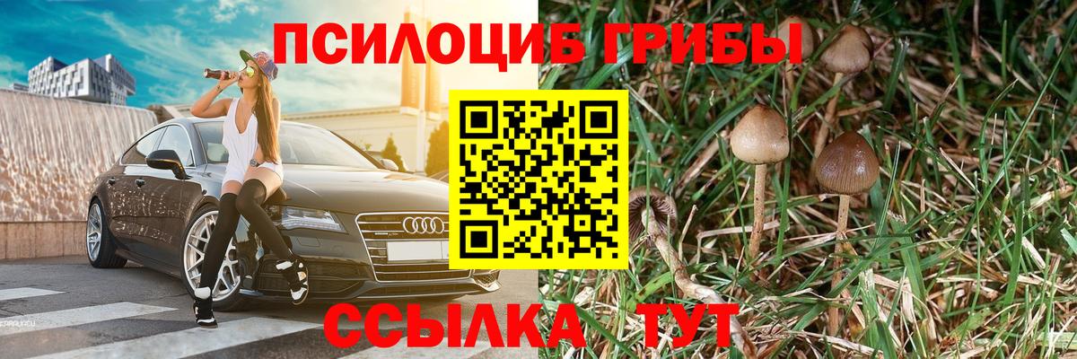 Галлюциногенные грибы прущие грибы Междуреченск