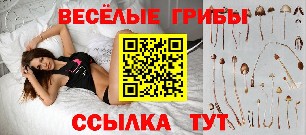 закладка  Вход с VPN  Междуреченск  Галлюциногенные грибы MAGIC MUSHROOMS 